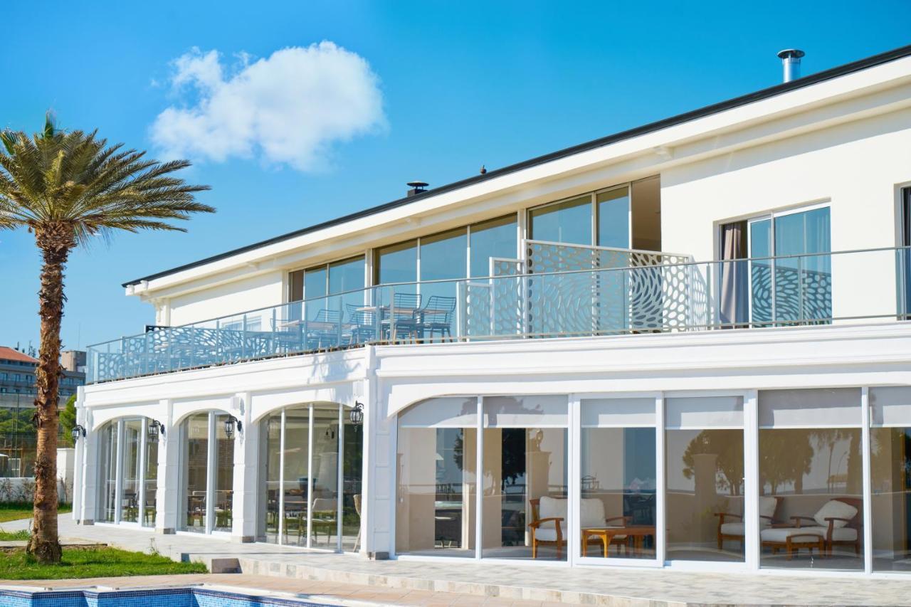 Silver Palms